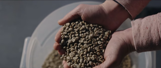 Your Coffee Is Too Fresh: A Coffee Resting Guide