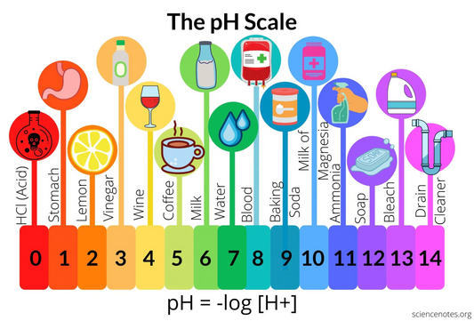 What is Acidity in Coffee?
