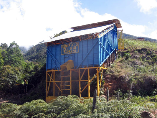 Hacienda La Minita: The Original Direct Trade Coffee from Costa Rica